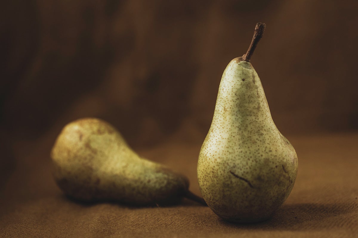 Poire Conférence