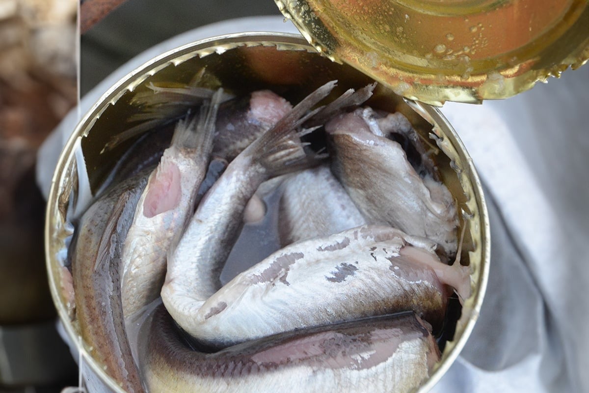 Surströmming