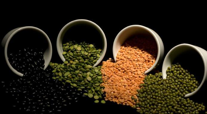 variétés de lentilles