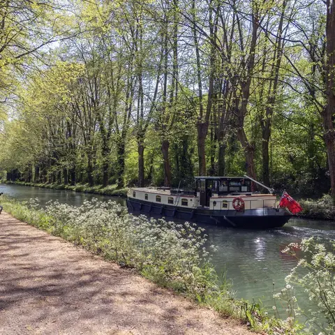 Bateau sur un canal bordé d’arbres, longeant une piste cyclable sous le soleil, offrant une scène paisible et verdoyante.