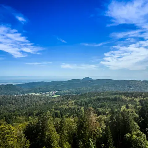 Paysage montagneux verdoyant sous un ciel bleu éclatant,offrant une vue panoramique sur la forêt et les vallées environnantes