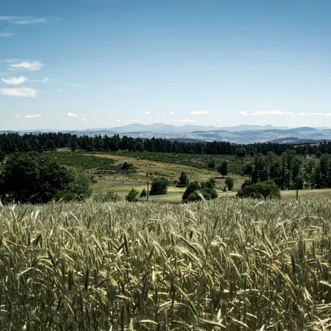 Lozère