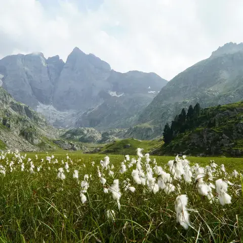 Pyrénées-Orientales