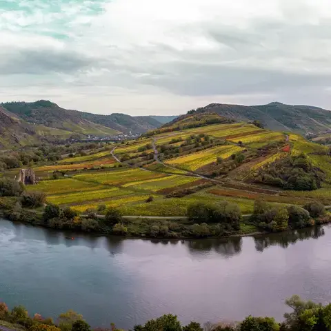 Meurthe-et-Moselle
