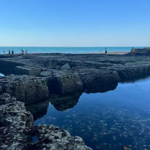 Seine-Maritime
