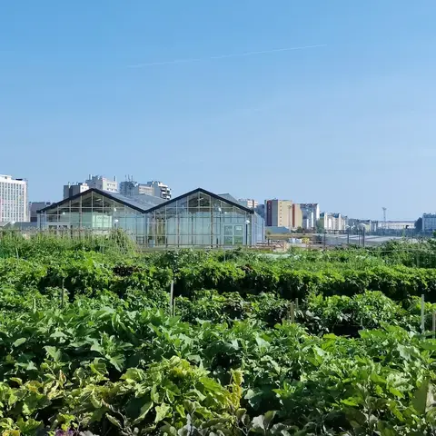plantation paris