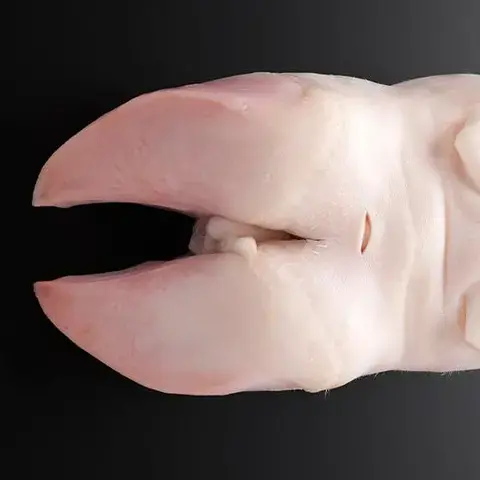 Pieds de porc : comment cuisiner les pieds de porc ?
