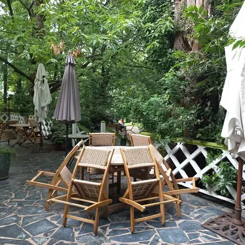 Au Cœur de la Forêt Au Cœur de la Forêt