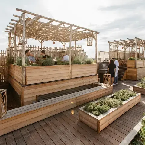 Brach Paris - Evok Collection Brach Paris - Evok Collection