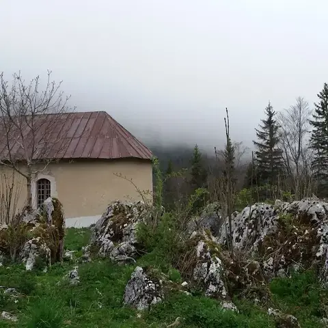 La Ferme Du Bois Barbu La Ferme Du Bois Barbu