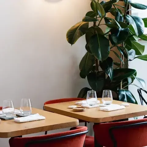 La Machine à Coudes