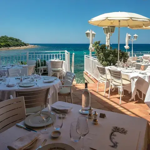 L'Arbousier L'Arbousier