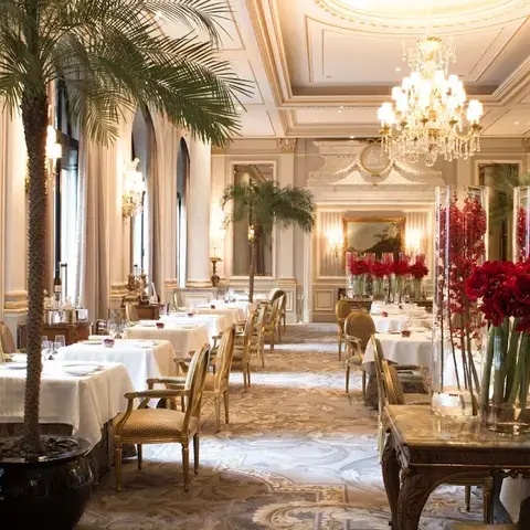 Le Cinq Le Cinq
