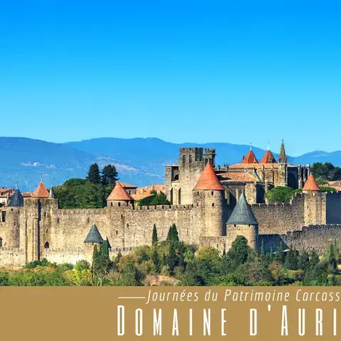 Le Domaine d'Auriac Le Domaine d'Auriac