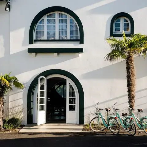 Les Hortensias du Lac