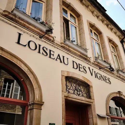 Loiseau des Vignes Loiseau des Vignes