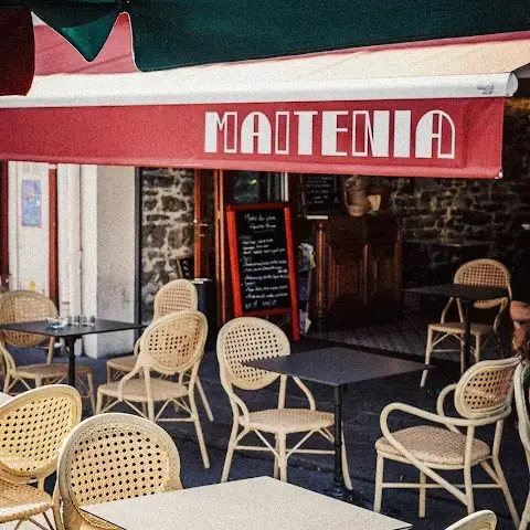 Maitenia Maitenia