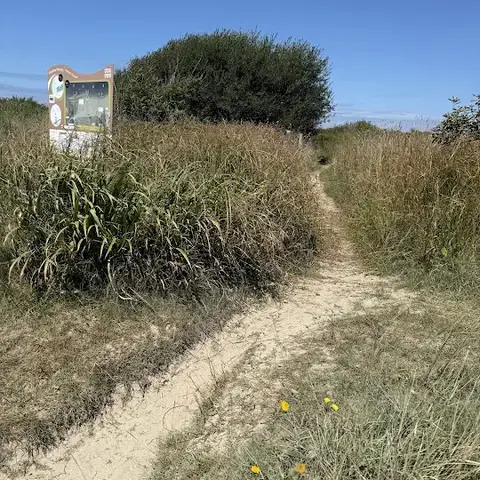 Plage st Anne la palud