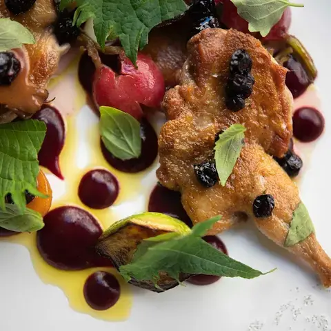 Restaurant Eels Restaurant Eels