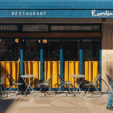 ROOSTER PAR FRÉDÉRIC DUCA