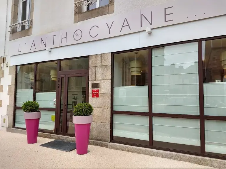 L'Anthocyane L'Anthocyane