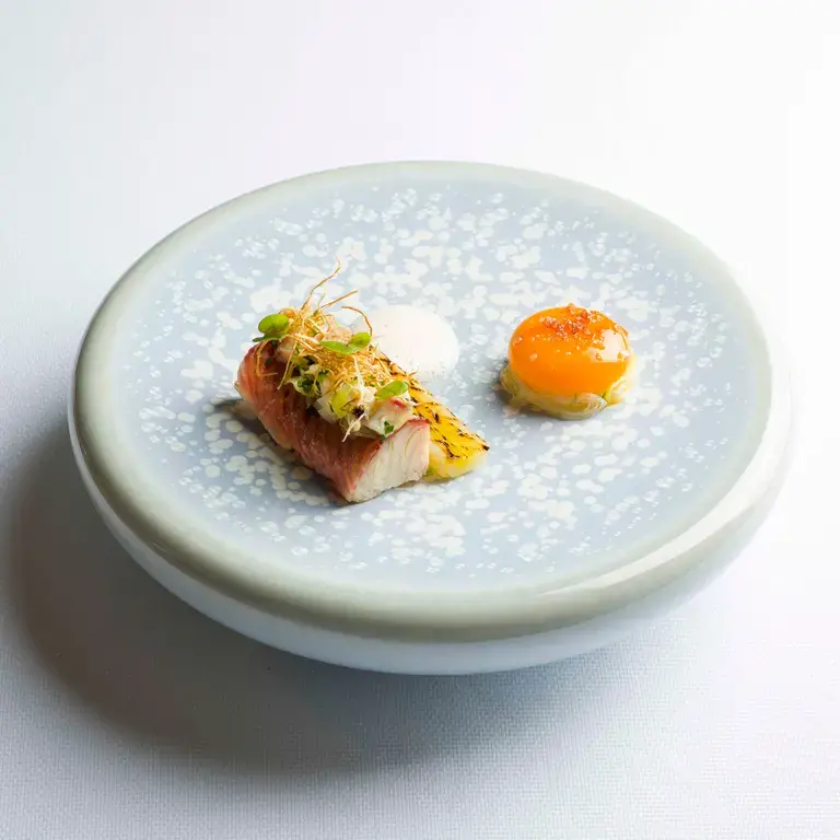 Anguille Christopher Coutanceau