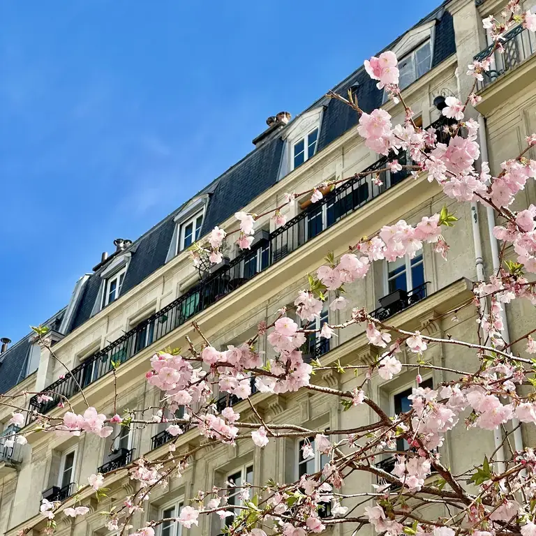 Paris printemps 2025