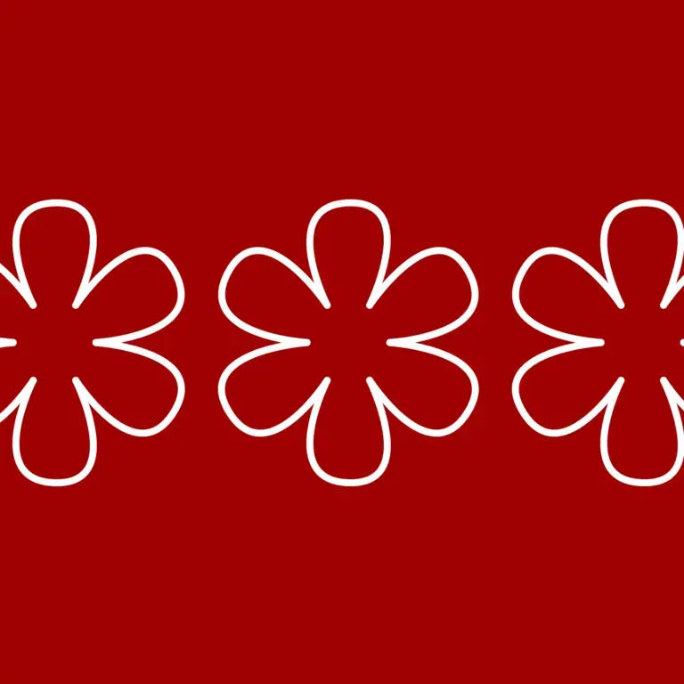 livre guide michelin