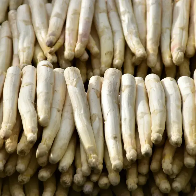 asperges blanches