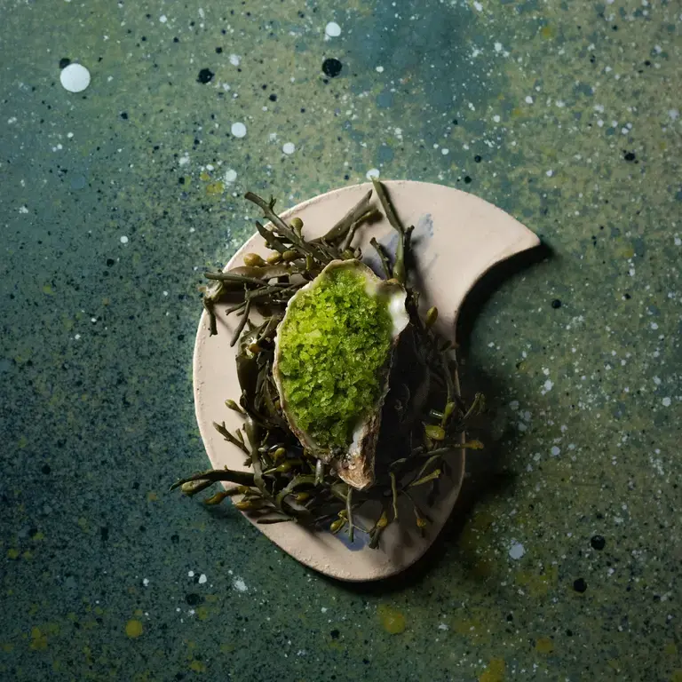 Comptoir de Vie - Huître