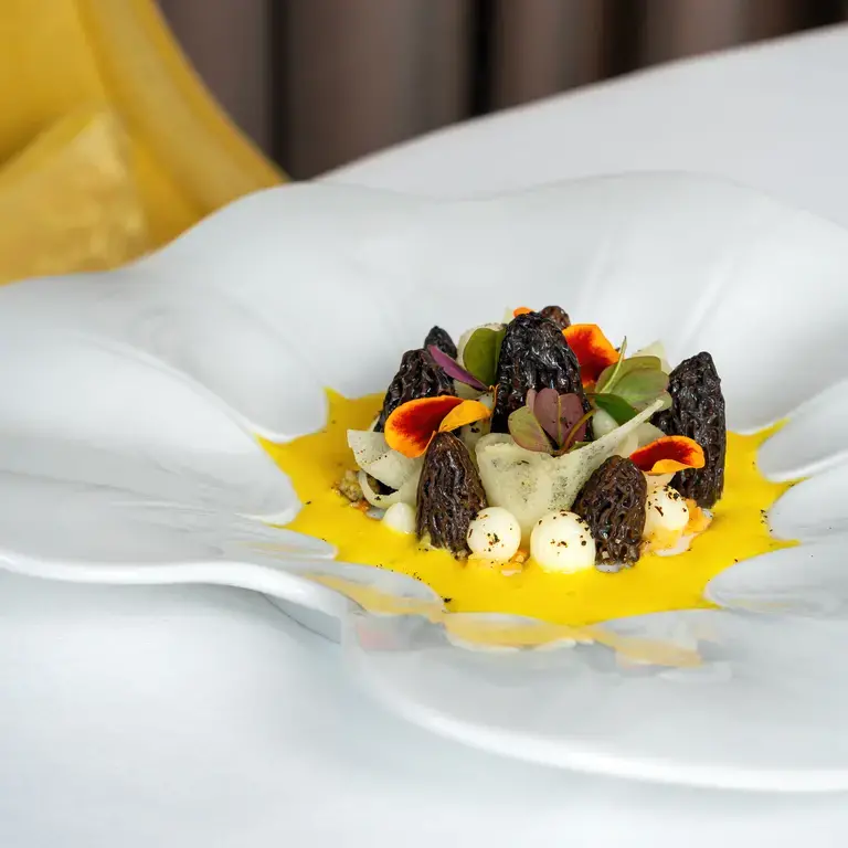 Gabriele Ravasio, plat