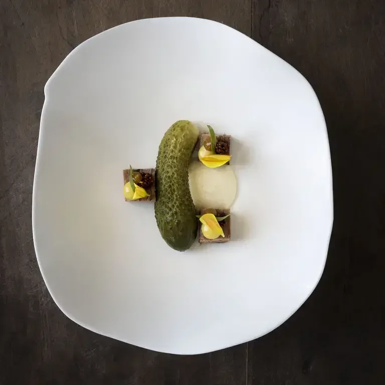 cornichon langue de boeuf david gallienne