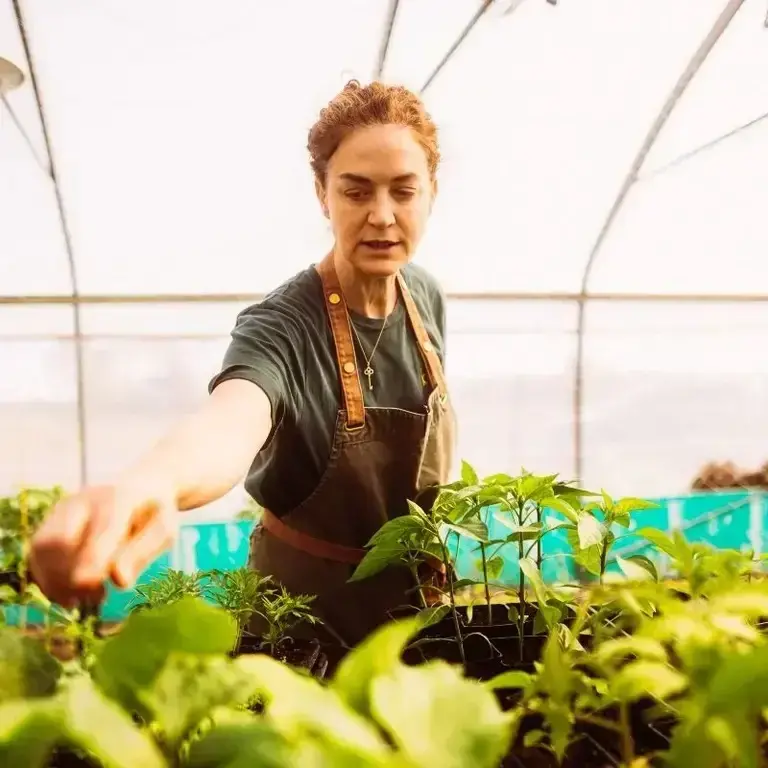 La cheffe Fisun Ercan