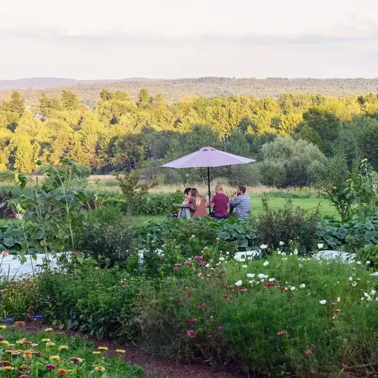 La cheffe Fisun Ercan.