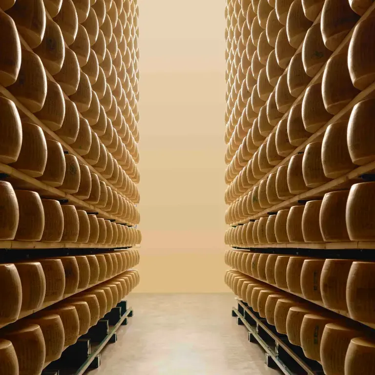 I Suoni della Materia, Parmigiano Reggiano
