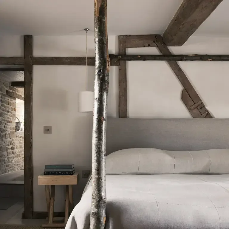 wild rabbit room