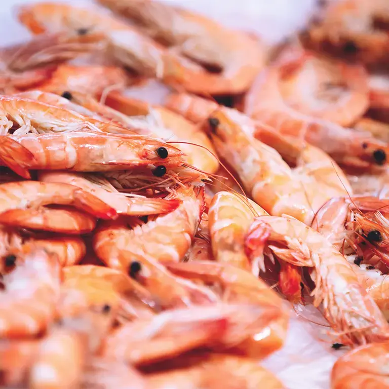 recettes crevettes - Fine Dining Lovers