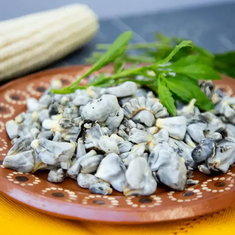 Charbon du maïs ou huitlacoche