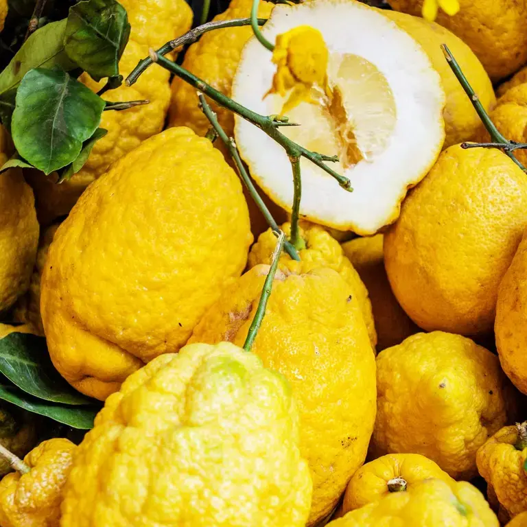 citrus medica fruit - Fine Dining Lovers