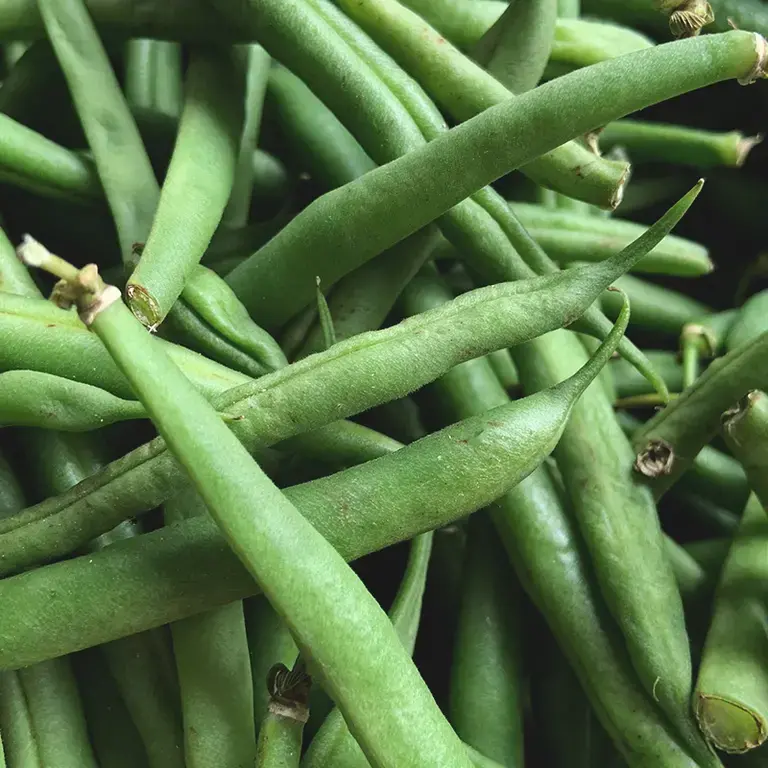 haricots verts