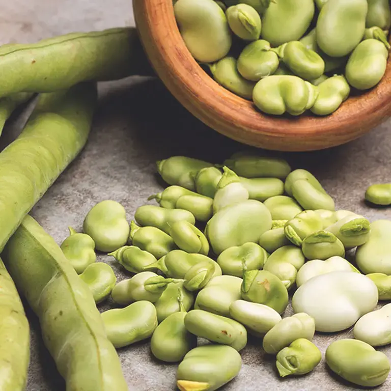 comment cuisiner les fèves - Fine Dining Lovers