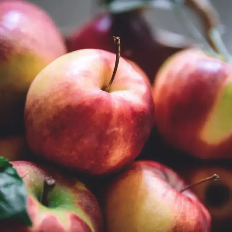 recettes pommes