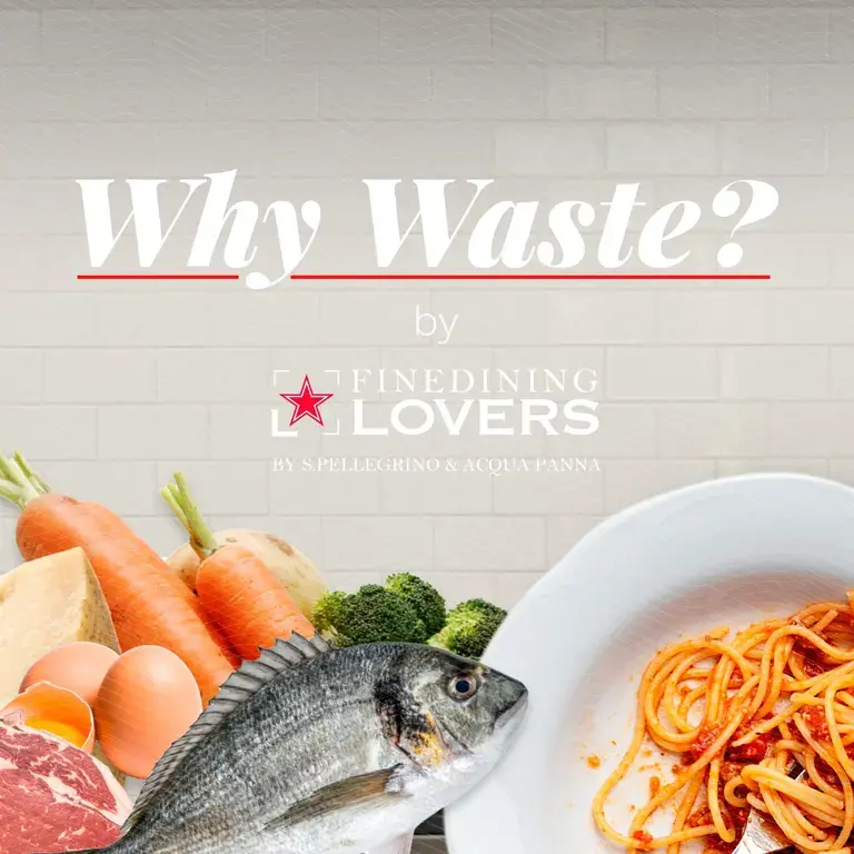 Why Waste ? L'infographie sur le gaspillage-alimentaire