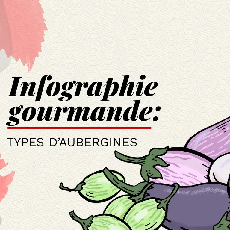 Les différentes variétés d'aubergine
