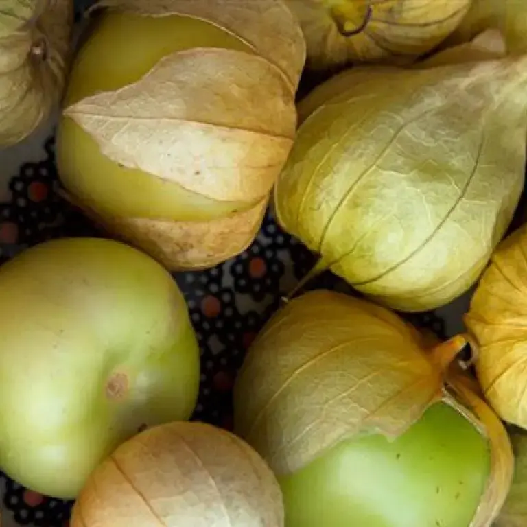 tomatilles
