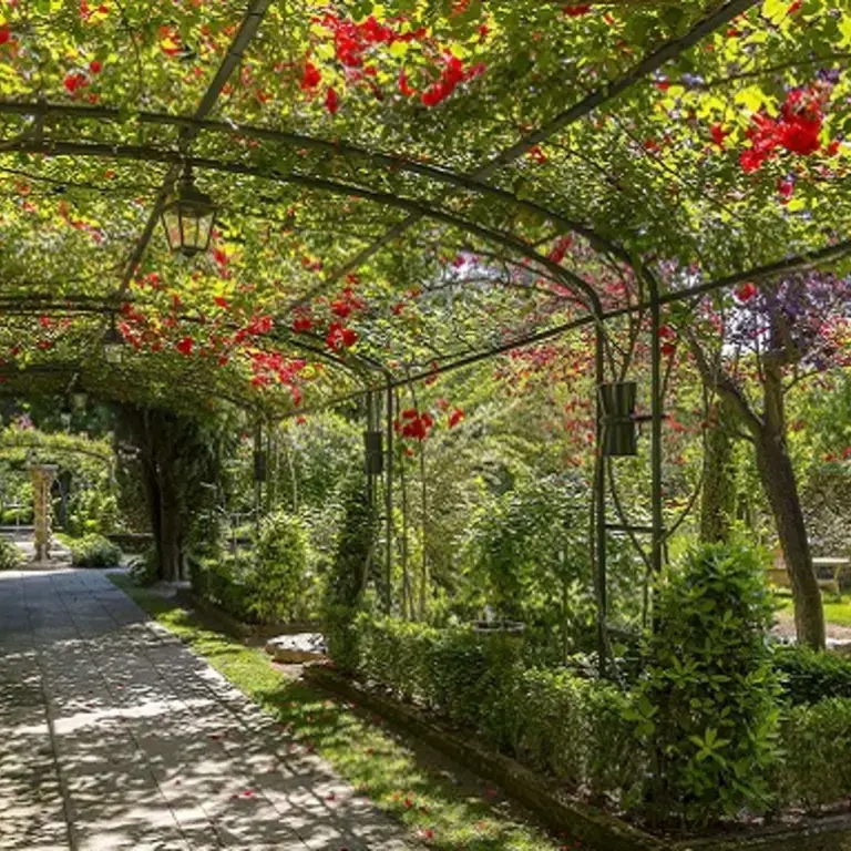 Cuisine provençale : les bons restaurants d'Aix-en-Provence