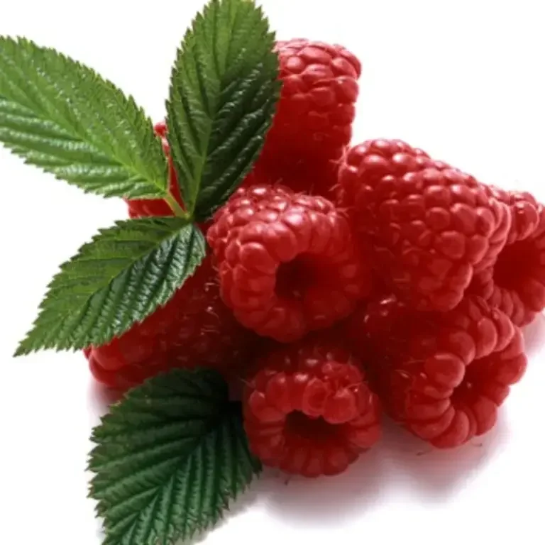 framboises