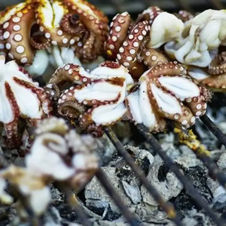poulpe qui cuit sur une grille de barbecue