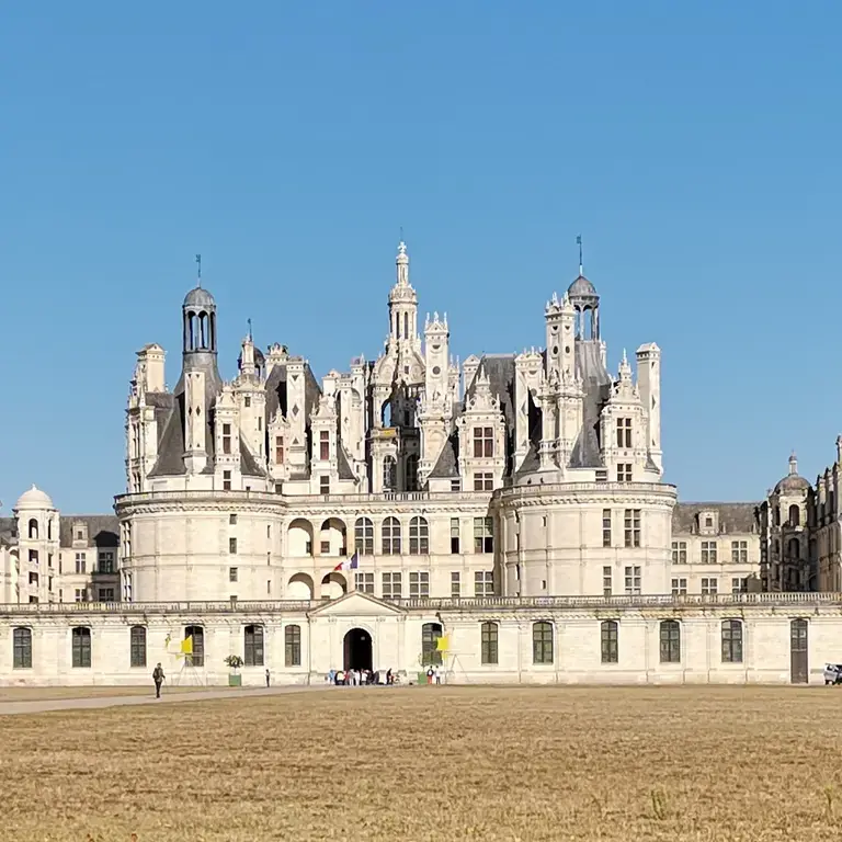 La France est championne du monde de dégustation de vins à l'aveugle