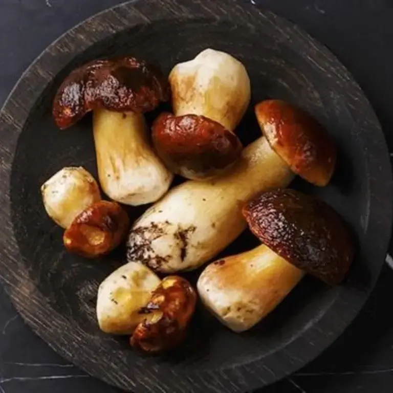 Peut-on laver les champignons ? Astuces et techniques